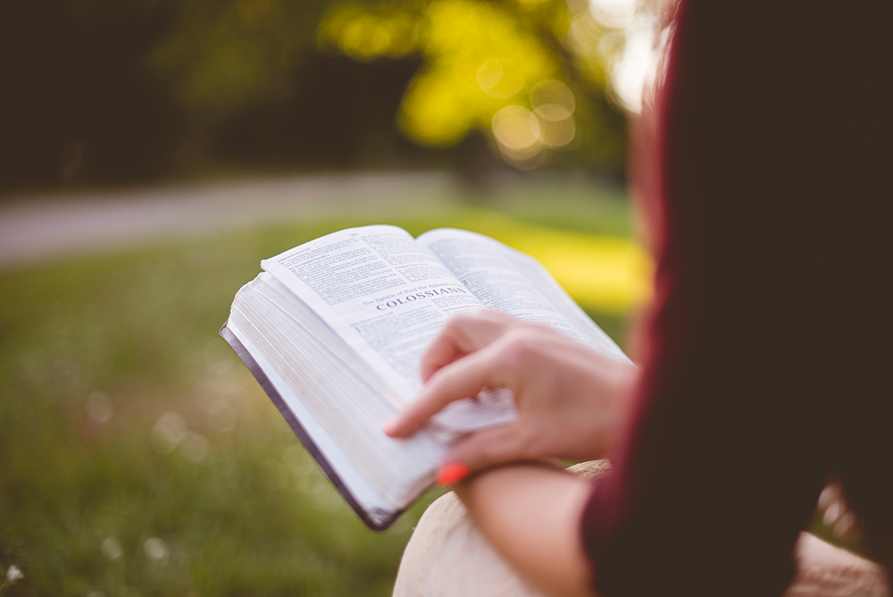Paima top 3 des livres à lire cet été