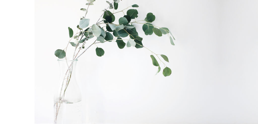Paima 5 gestes green