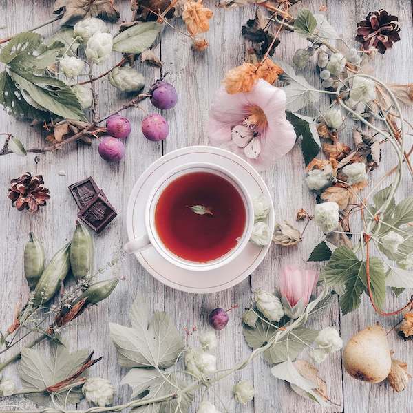 tisane anti rides maison
